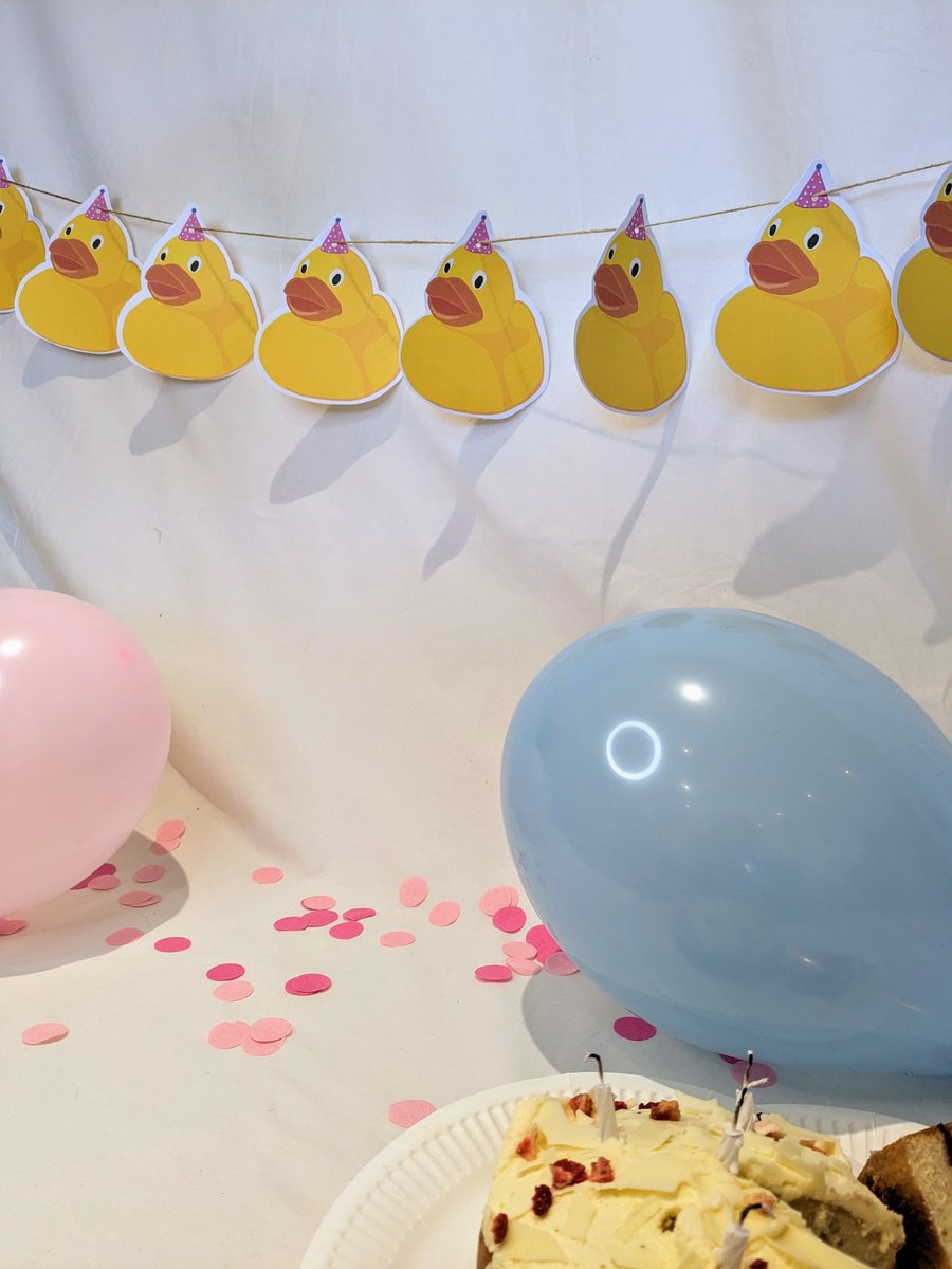 Duck Party Bunting