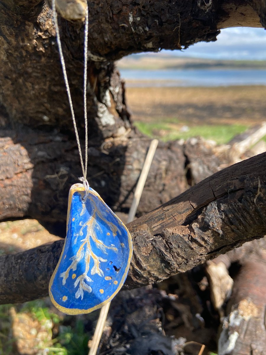 Hand painted mussel shell from an Argyll beach. With a beaded hanger.