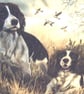 Two Springer Spaniels ready and waiting cushion  - Image 3