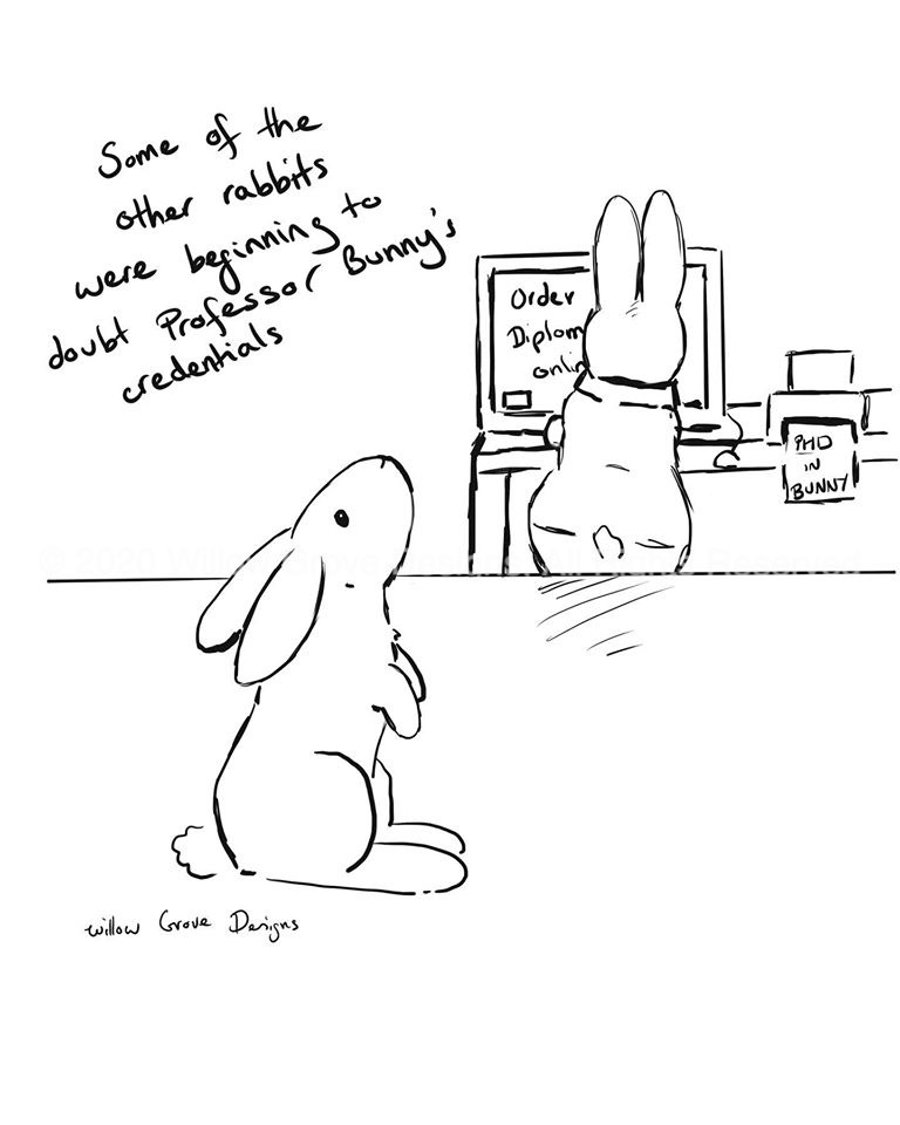 Professor Bunny "Qualifications" - Art Print