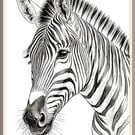 A4 Print of Zebra (unframed)
