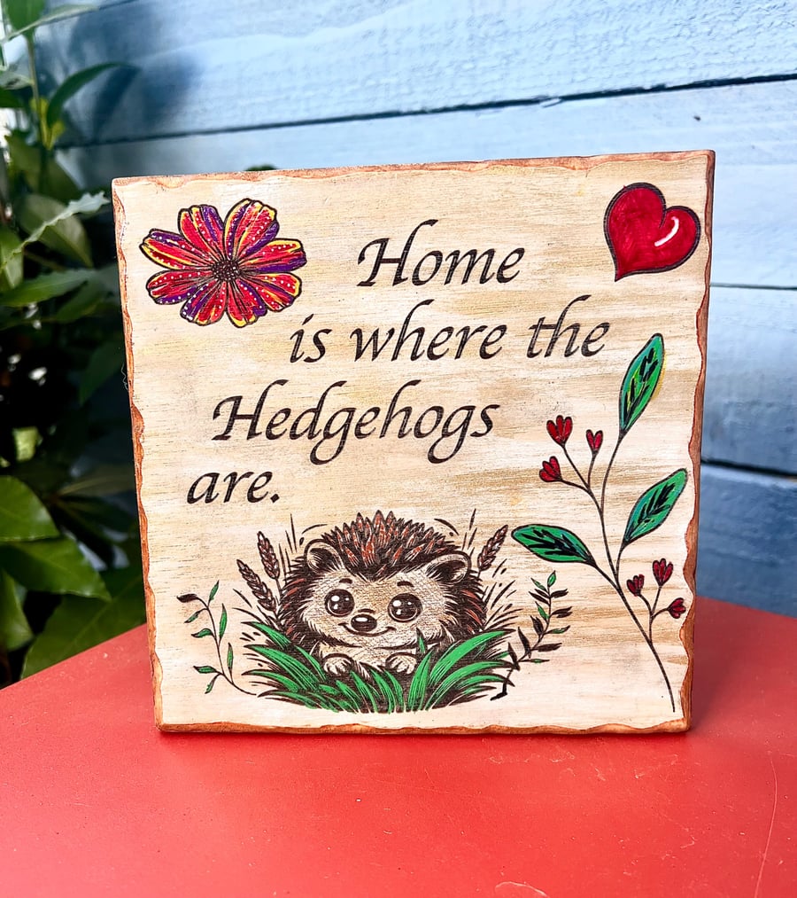Home is where the Hedgehogs are