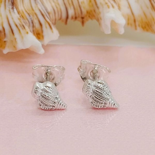 Fine silver shell stud earrings welk Shells handmade gift wrapped