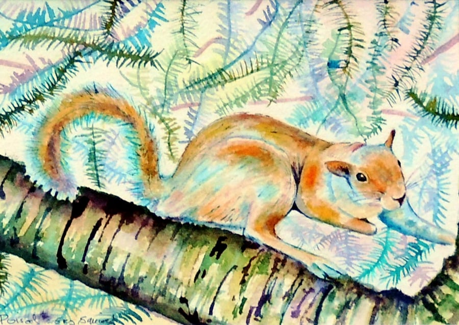 Squirrel Original Modern Fine Art Watercolour Painting