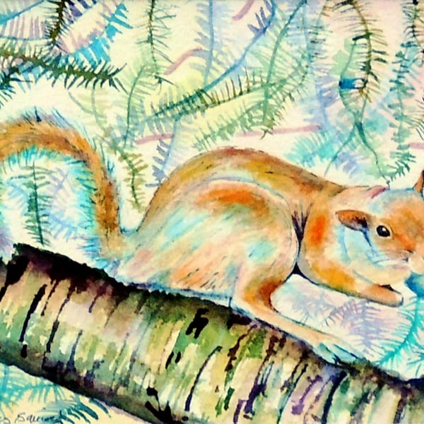 Squirrel Original Modern Fine Art Watercolour Painting