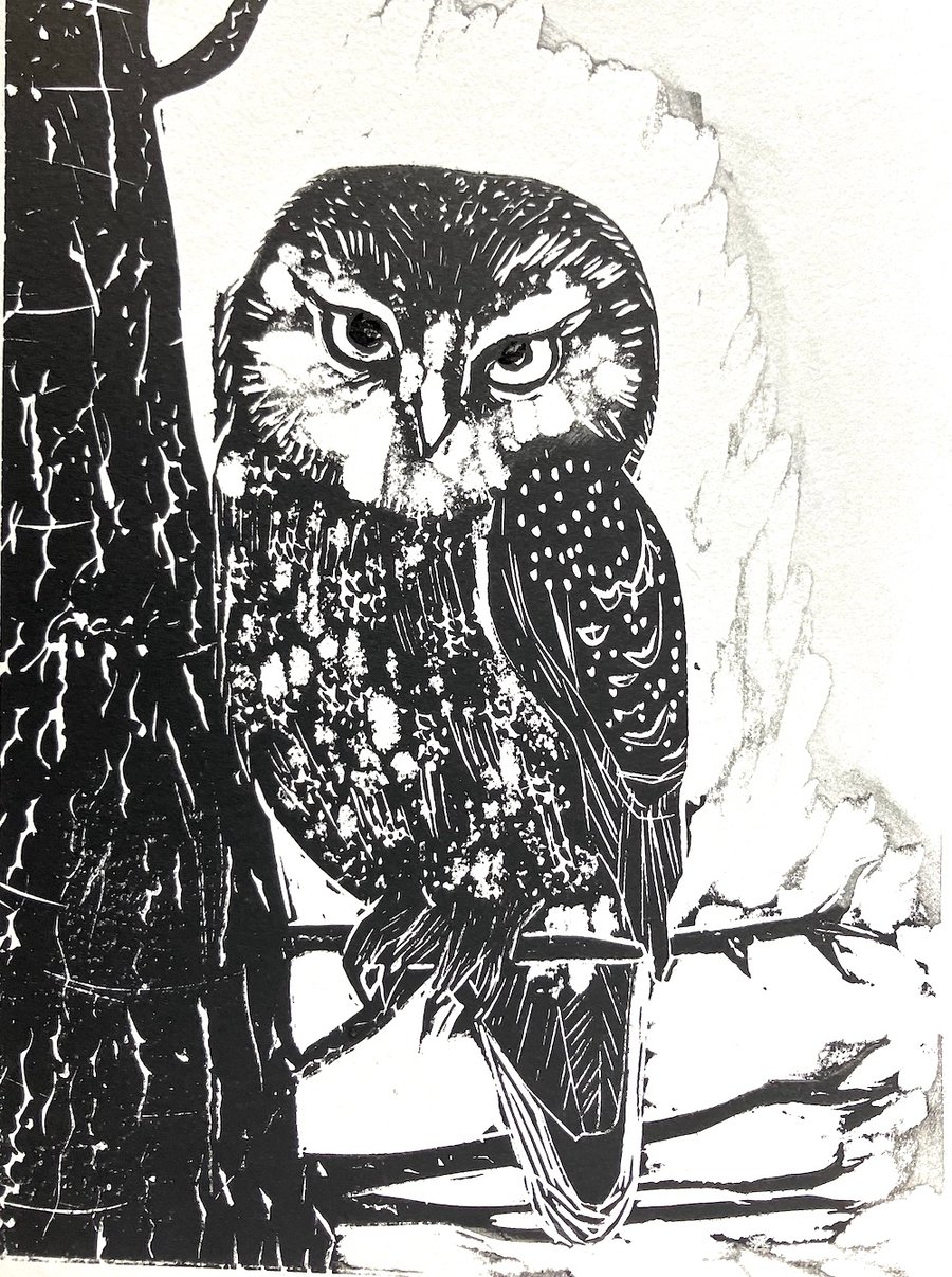 Small Owl - Lino Cut