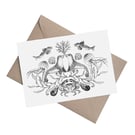 Coastal Symmetry - Seals: A5 Blank Greetings Card 