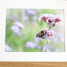 Floral Photography - Mounted image - Verbena Flower Head