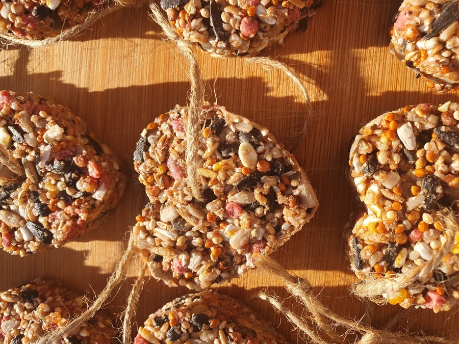 Wedding Favours, Natural, Rustic Bird Seed Hearts