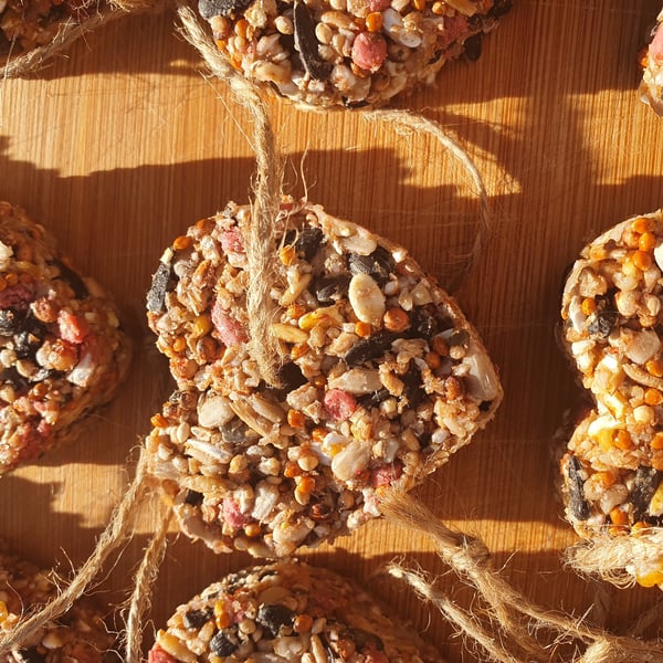 Wedding Favours, Natural, Rustic Bird Seed Hearts
