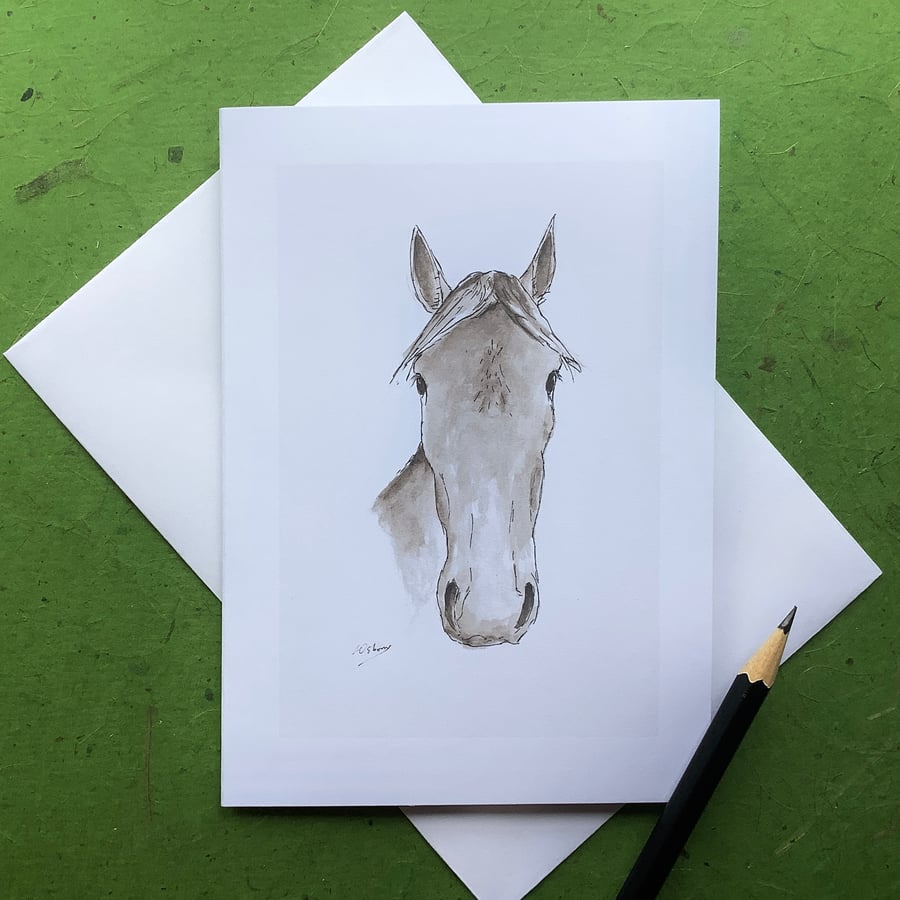 Faithful friend - greetings card. Blank inside. Horse