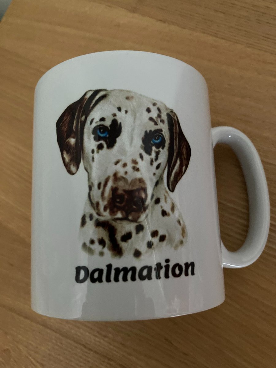 Dalmation design  Mug ,coffee mug ,dog design. Free P&P