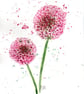 Purple alliums, framed original watercolour painting  - Image 2