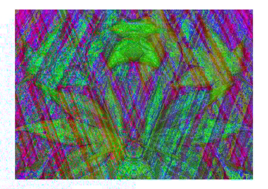 Cicada Vibrant Digital Print