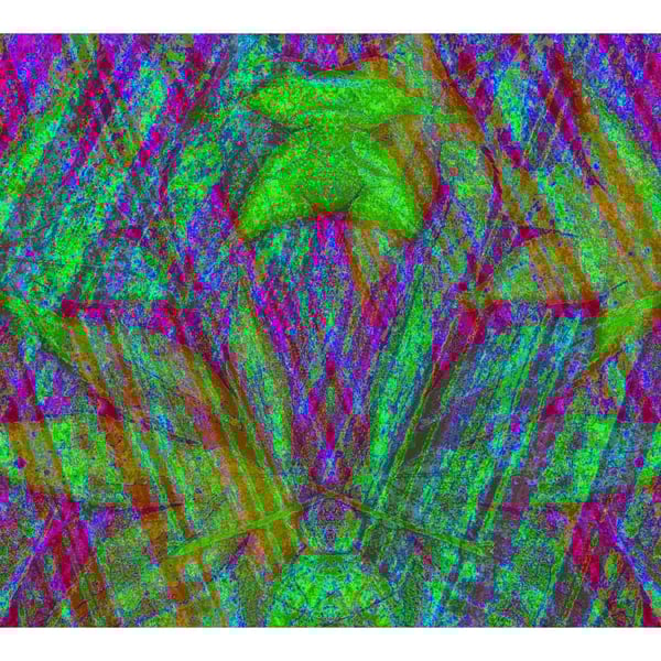 Cicada Vibrant Digital Print