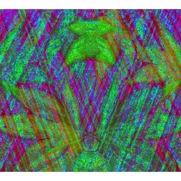 Cicada Vibrant Digital Print