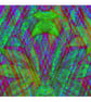 Cicada Vibrant Digital Print - Image 1