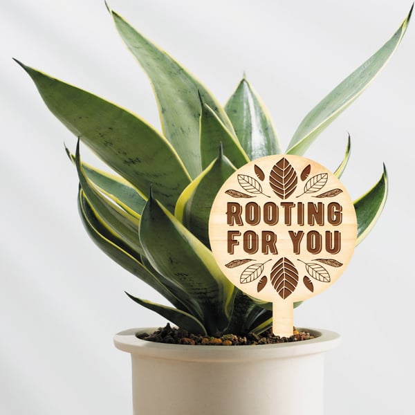 Rooting For You Positive Thoughtful Personalised Plant Gift To Say Good Luck
