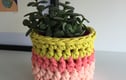 Plant pot covers