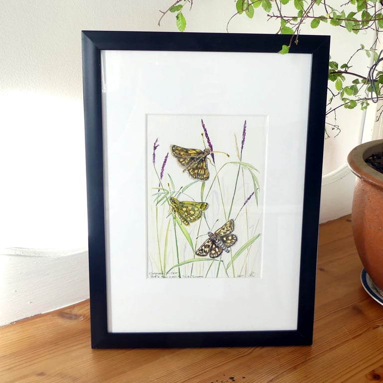  Framed Butterfly and Wildflower Botanical Watercolour Painting