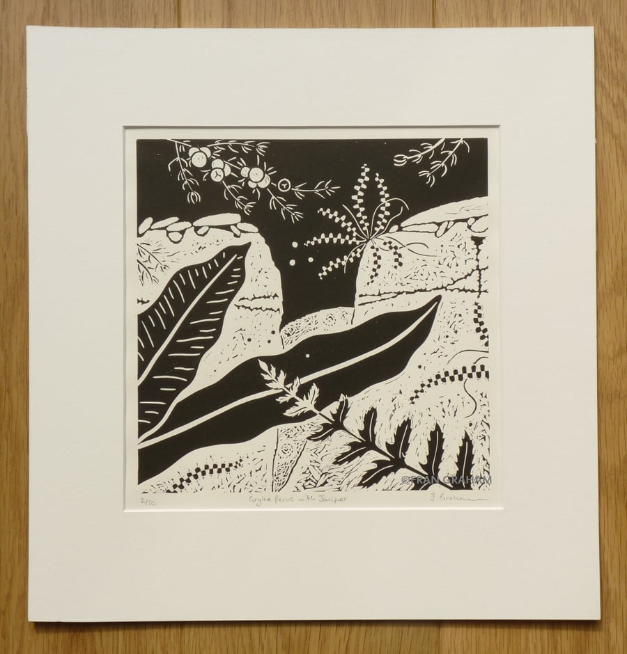 Gryke ferns with Juniper - Black