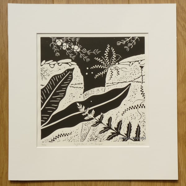 Gryke ferns with Juniper - Black