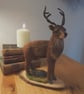 Highland stag needle felted home decoration. - Image 2