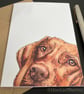 Hungarian Vizsla Dog Card; Birthday, Blank or Personalised. - Image 4
