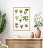 Houseplants Art Print - Plant Lover Gift - Image 2