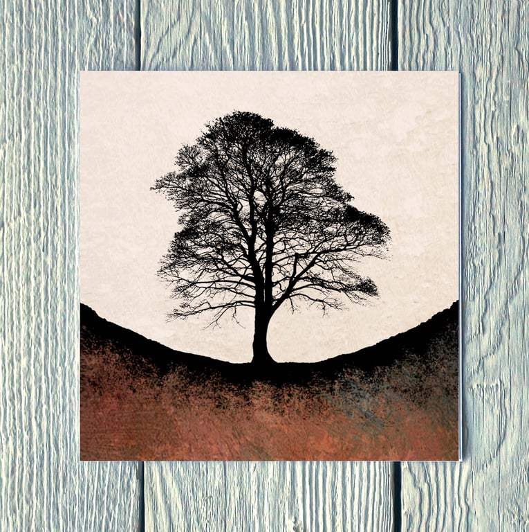Autumn at Sycamore Gap - Rust, Greetings Card