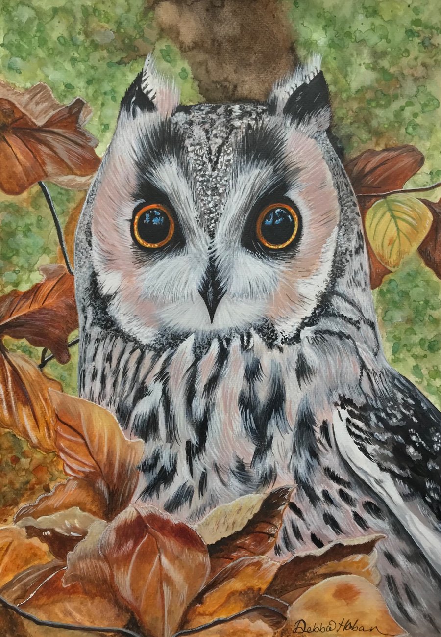 Stunning original Long Eared Owl Framed watercolour piece