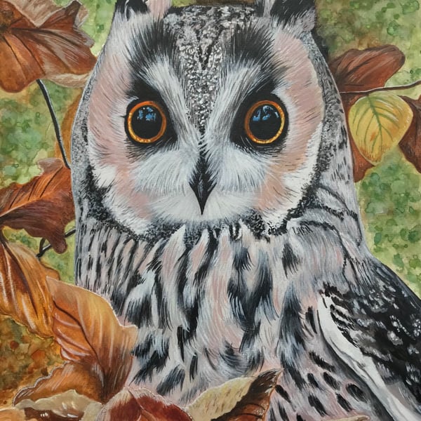 Stunning original Long Eared Owl Framed watercolour piece