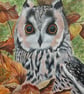 Stunning original Long Eared Owl Framed watercolour piece