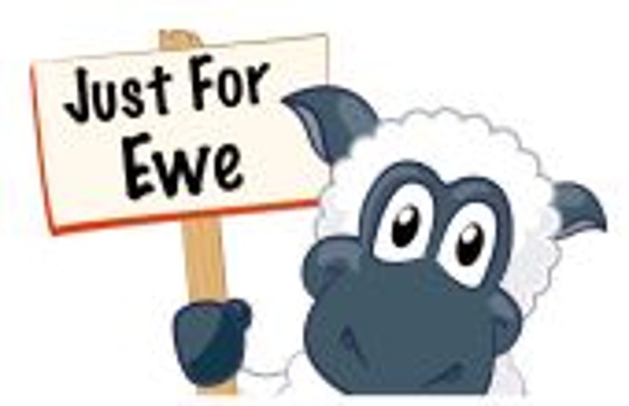 Just For Ewe UK