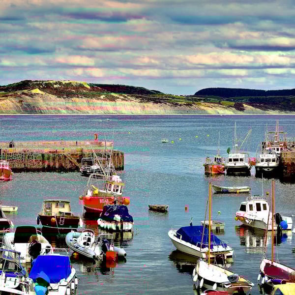 Picture Lyme Regis Harbour, Lyme, Devon Dorset Photo Print Boats