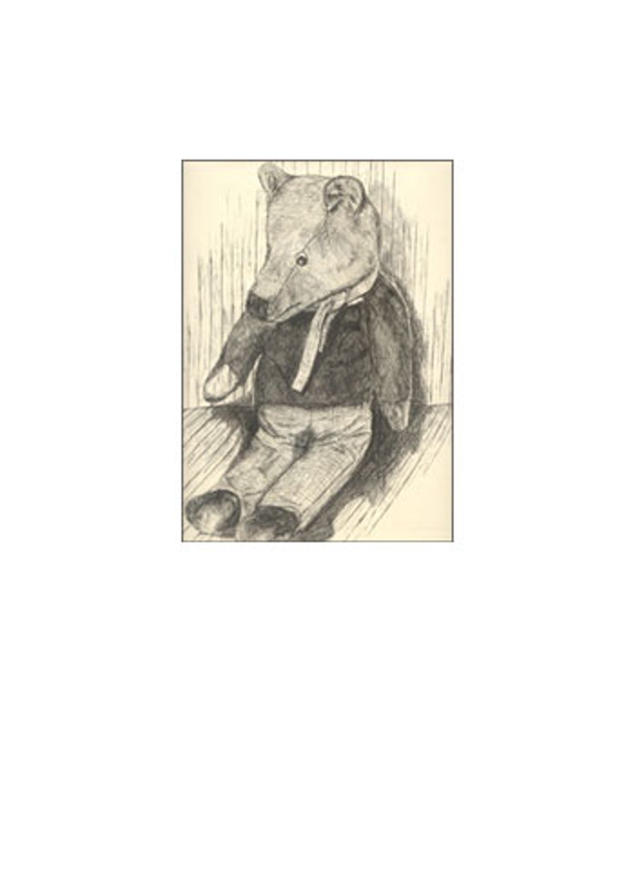 Old Bear - pack of 5 greetings cards (blank for own message)
