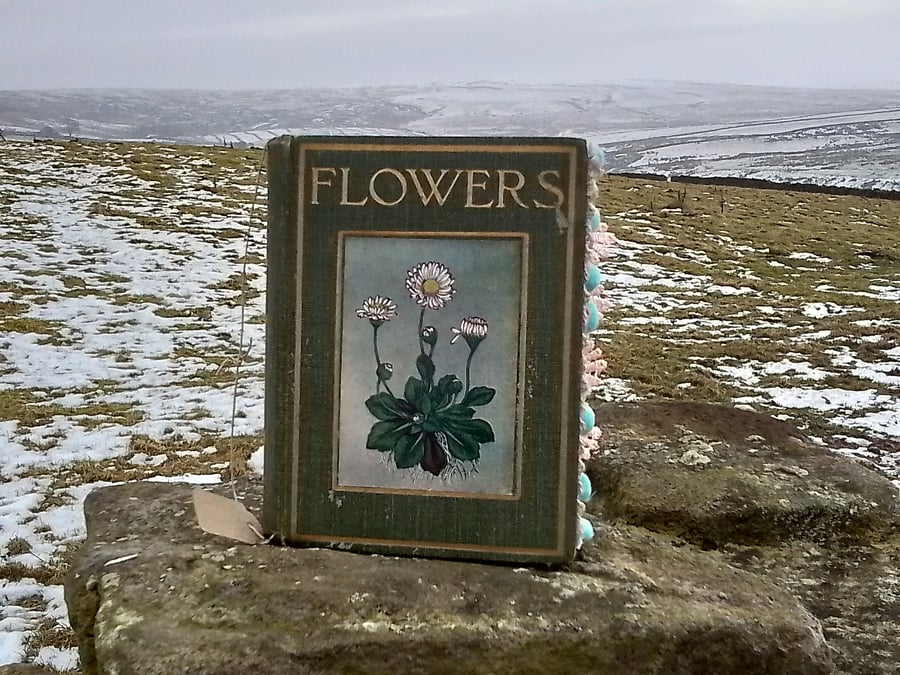 Vintage reading , flowers, a guide to flowers, upcycling books, gifts for nature