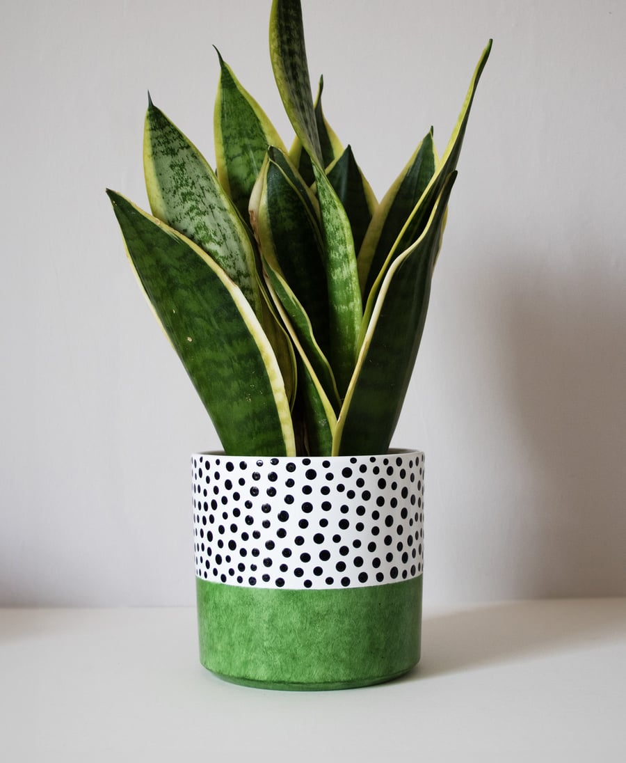 Green Colour Pop Polka Dot Planter