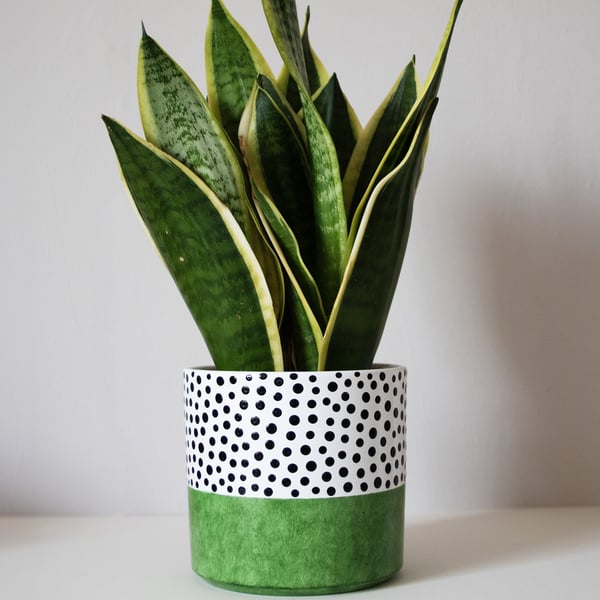 Green Colour Pop Polka Dot Planter