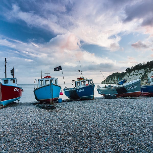 Photograph - Fishing boats at Beer, Devon  - Limited Edition Signed Print