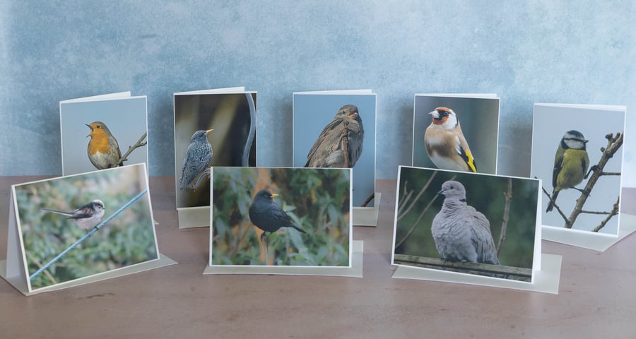 My Garden Birds Ethically Made Greetings Cards - Pack of 8