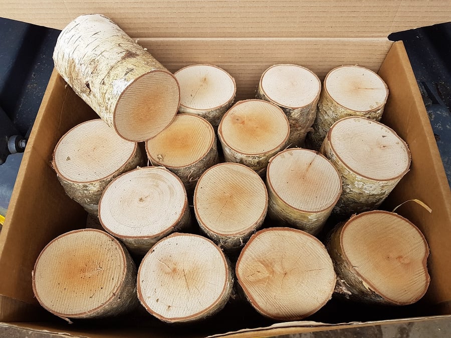 Round Logs - Silver Birch - Kiln Dried - Bundle Mix Diameters - 10cm long 