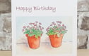 BIRTHDAY cards