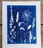 Cyanotype Botanical Print No. 10 - Image 2