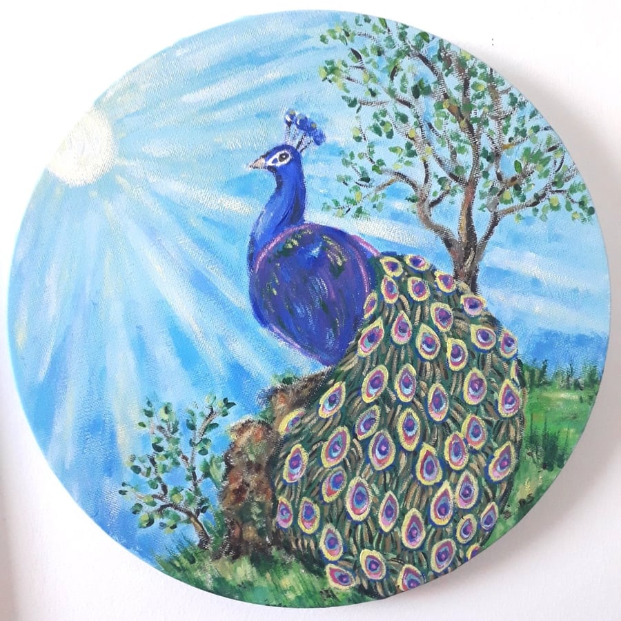 Peacock in the Sun original painting on canvass.  