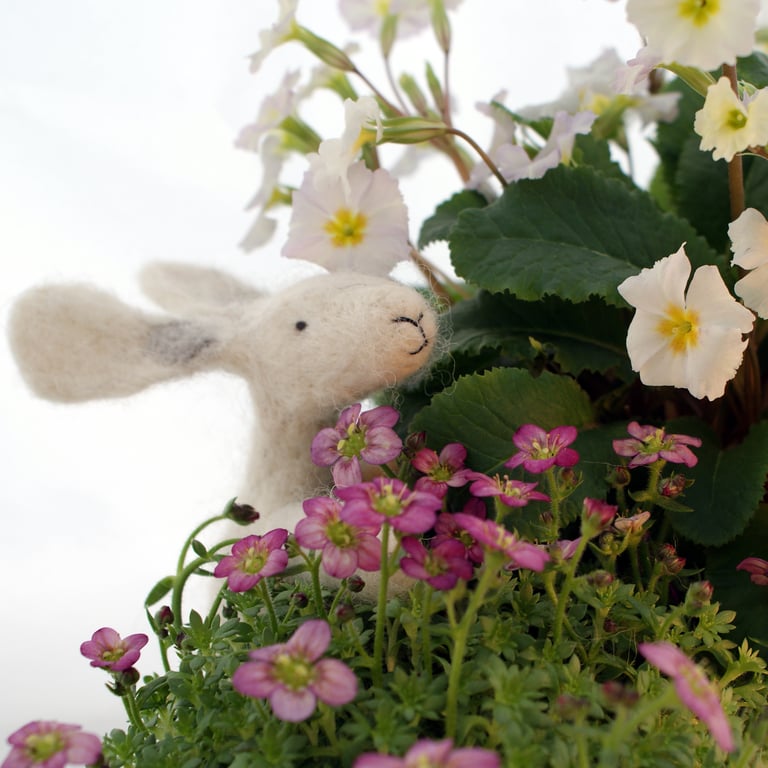 Hare needle felting kit