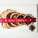 Handmade 'Dried Fruit and Anise' Christmas Greeting Card 