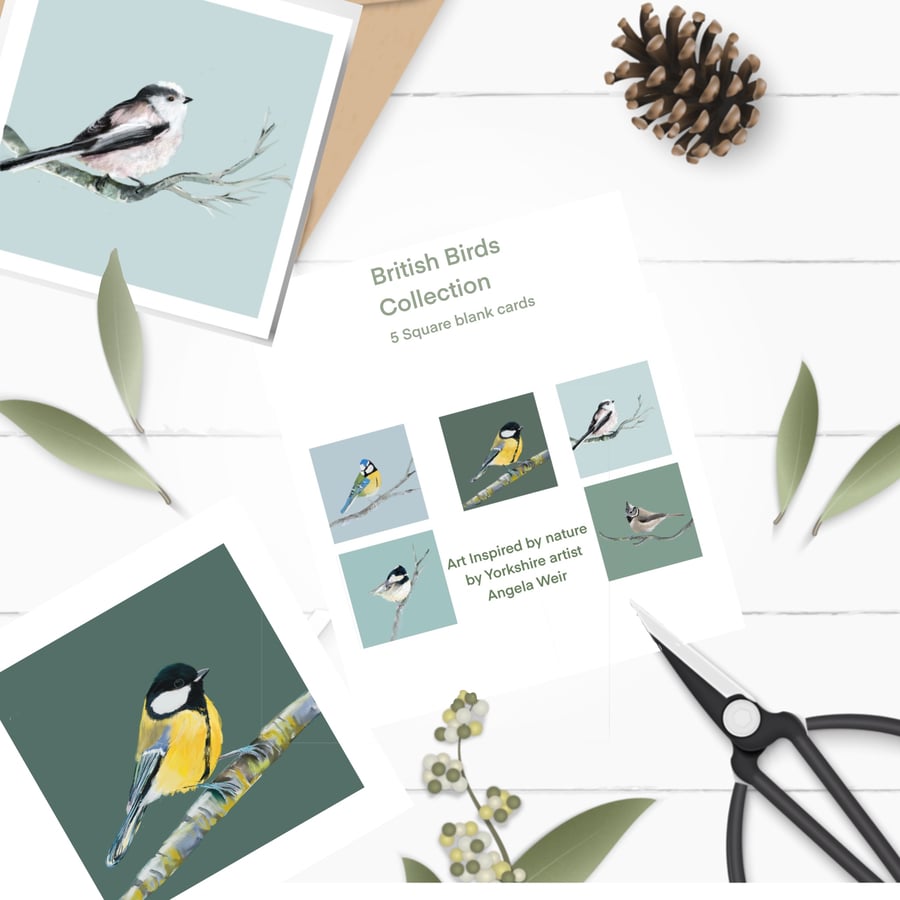 British Garden Bird Set of 5 Fine Art Cards
