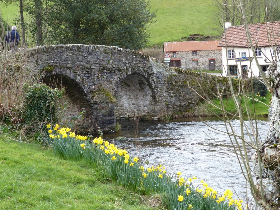 7" x 5" Photographic Card