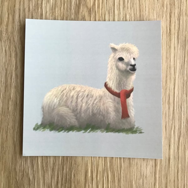 Llama Square Post Card Print